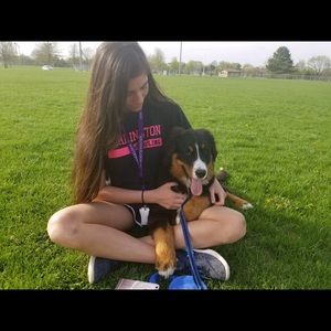 Meet your Posher, Taylor